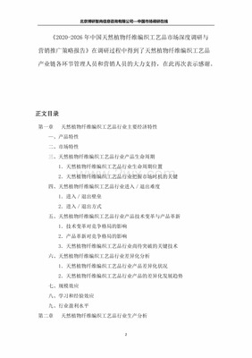 中國天然植物纖維編織工藝品市場深度調研與營銷推廣策略報告x